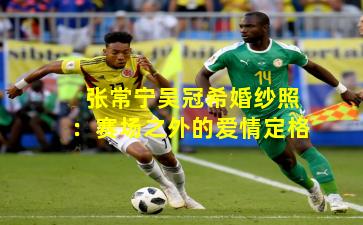 张常宁吴冠希婚纱照:赛场之外的爱情定格