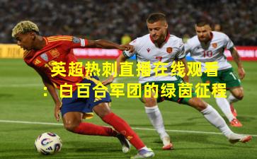 英超热刺直播在线观看:白百合军团的绿茵征程