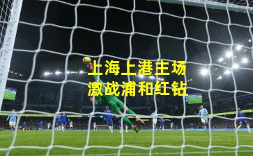 上海上港主场激战浦和红钻