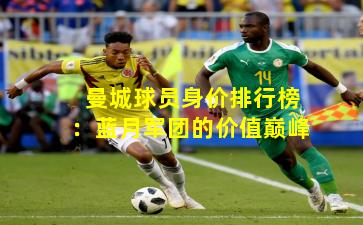 曼城球员身价排行榜：蓝月军团的价值巅峰