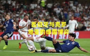 西班牙与克罗地亚的绿茵博弈