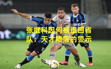 张继科因何被退回省队：天才陨落的警示